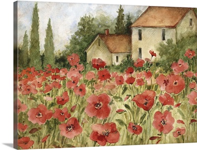 Tuscan Poppy Landscape