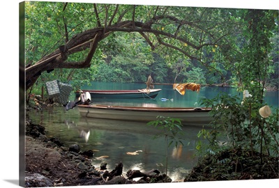 Caribbean, Jamaica, Port Antonio. Blue Lagoon