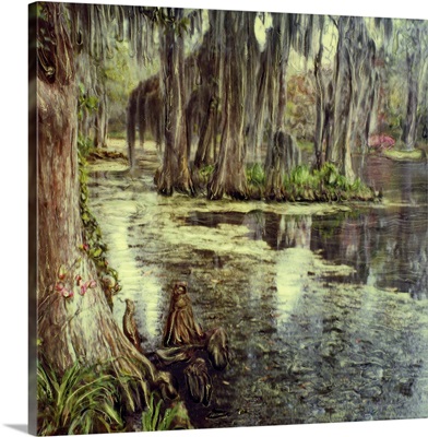 Cypress trees reflected in water