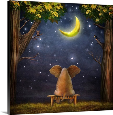 Illustration Of A Elephant On A Bench In The Night Forest