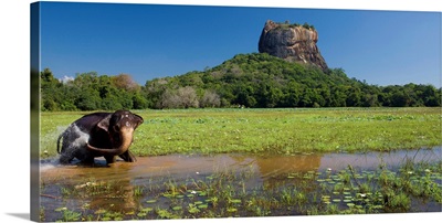 Sri Lanka, Ceylon, Central Province, Sigiriya, Lion Rock