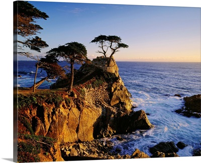 United States, California, Carmel Coast near Monterey Bay