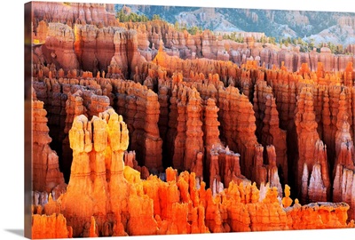 Utah, Sunrise on the Hoodoos in Bryce Canyon from Inspiration point