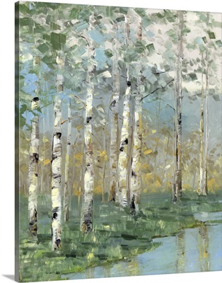 Birch Reflections I