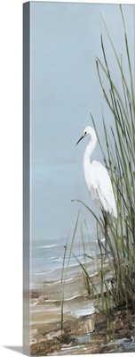 Island Egret II