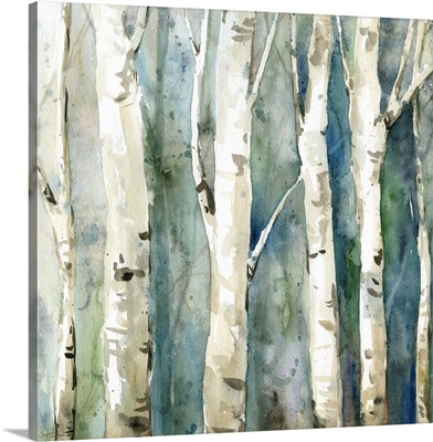 River Birch II