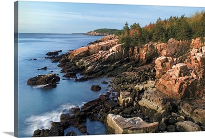 Acadia Coastline