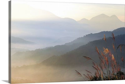 Foggy mountain at sunrise