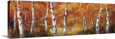 Autumn Birch I