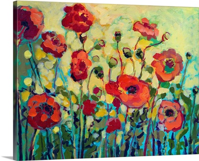 Anitas Poppies