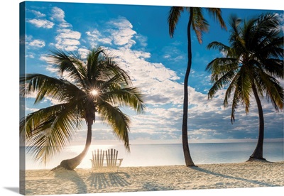 Palm Trees And Love Seat,  Islamorada, Florida Keys, USA