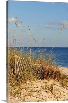 Sand Fence and Dune Grass