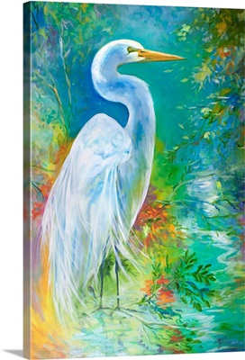 White Egret Landscape Waters