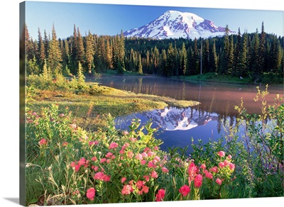 Mt Rainier and wildflowers at Reflection lake Mt Rainier National Park Washington