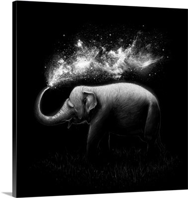 Elephant Splash - B&W