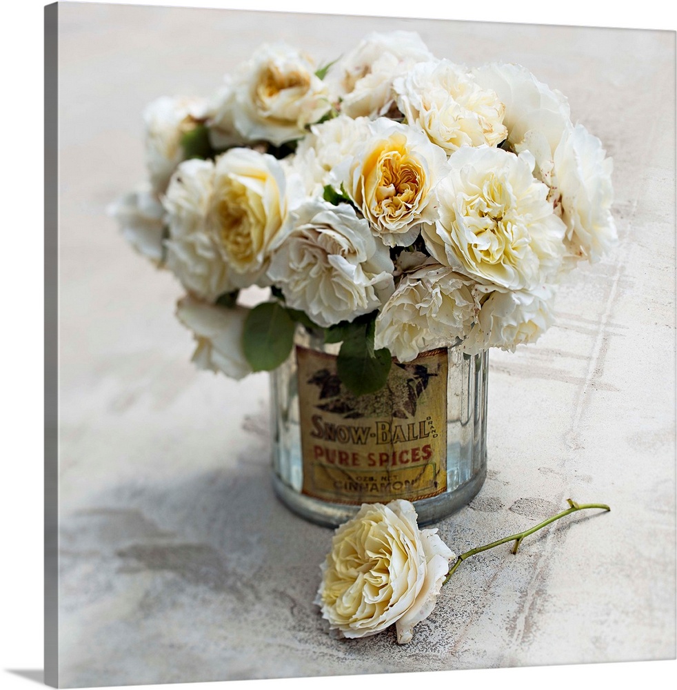 Square photograph of white English roses arranged in a glass jar on a cement surface with soft, hazy edges.