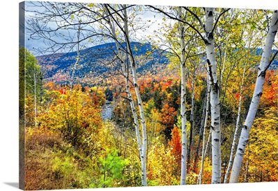 Autumn in the White Mountains, New Hampshire