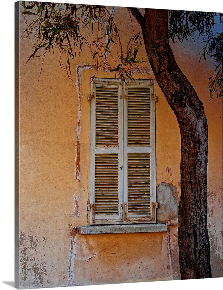 Photograph of an orange building facade with a weathered window with white shutters and a tree in the foreground framing t...