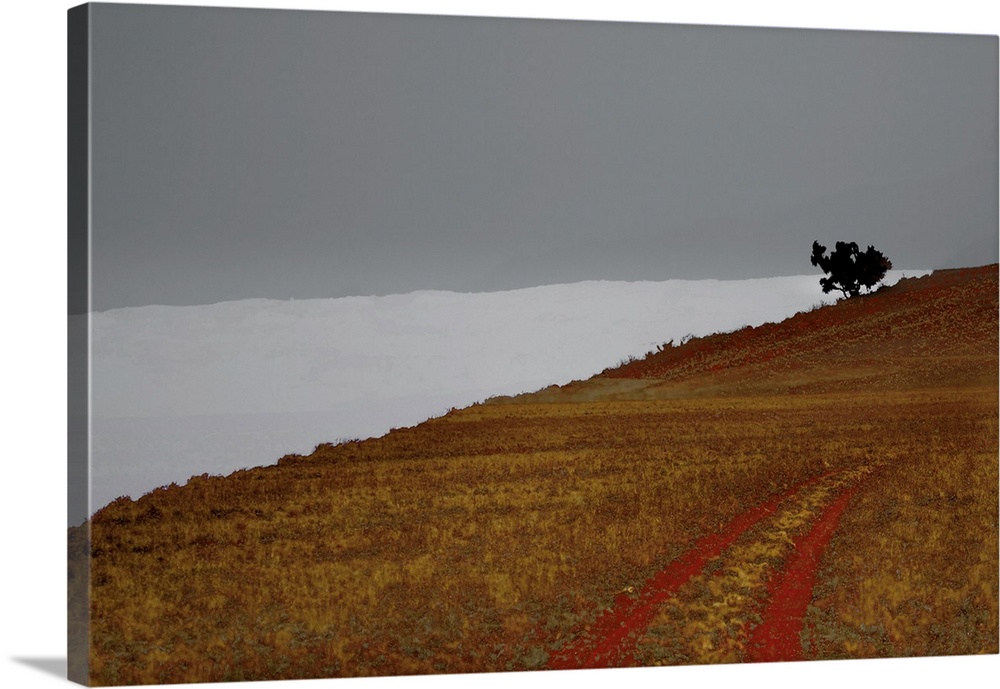 Abstract landscape photograph of a hill with tire marks and a single tree at the top.