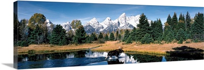 Moose & Beaver Pond Grand Teton National Park WY