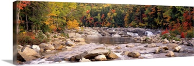 New Hampshire, White Mountains National Forest, River flowing through the wilderness