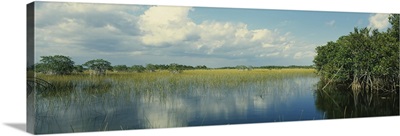 Reflection of clouds in water, Everglades National Park, Florida