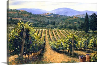 Tuscan Vines