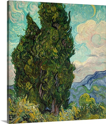 Cypresses