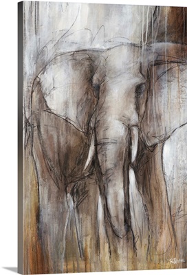 Elephant Study