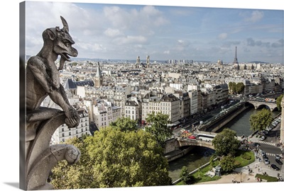 Gargoyle Over Paris