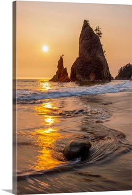 Sunset On Sea Stacks, Rialto Beach, Olympic National Park, Washington