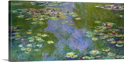 Water Lilies