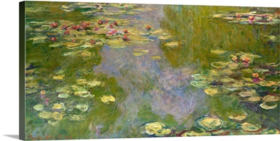 Water Lilies