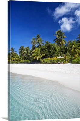 Tropical Beach And Palm Trees, The Maldives, Indian Ocean, Asia