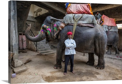 Painted elephant and its trainer in Jaipur, India