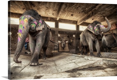 Painted elephants in their sleeping area in Jaipur, India