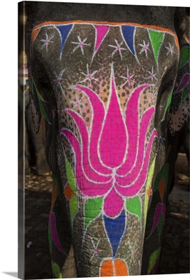 The painted elephants in Jaipur, India