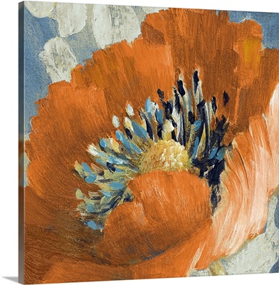 Orange Poppy