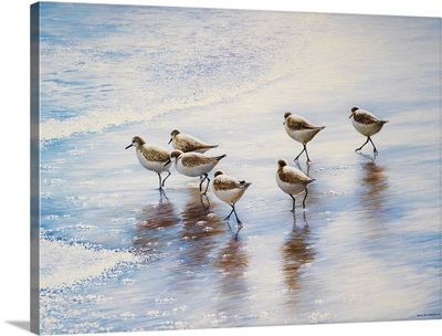 Sand Dancers