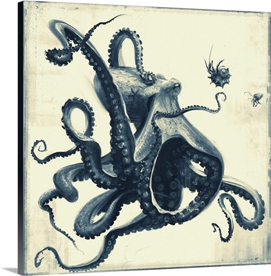 Octopus - Blue - Monochrome