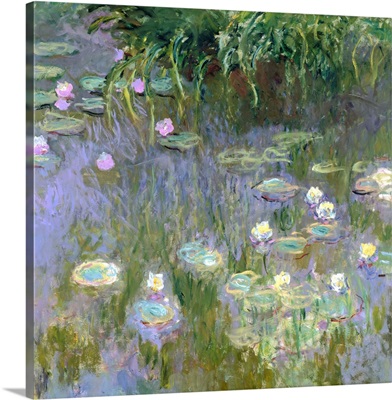 Water Lilies, c1915