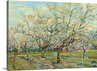 White Orchard, 1888