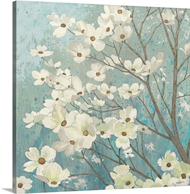 Dogwood Blossoms I