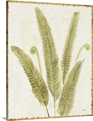 Forest Ferns II v2 Antique