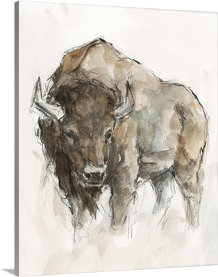 American Buffalo II