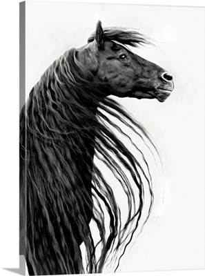 Black And White Horse Portrait II