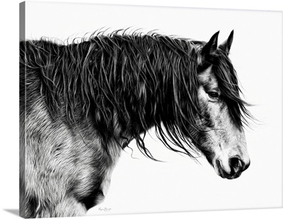 Black And White Horse Portrait III