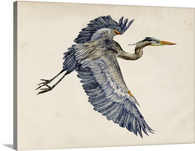 Blue Heron Rendering IV