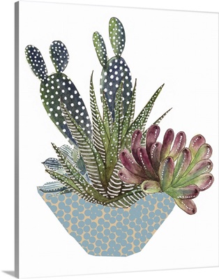 Cactus Arrangement I