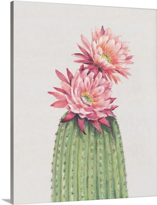 Cactus Blossom II